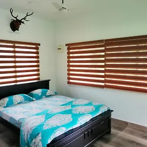 Noah's Nest Tree House , Thekkady Indien